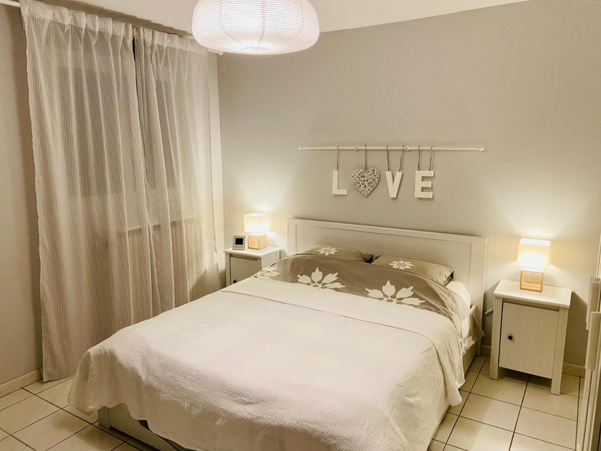 Sweet Home - 55M2 Appartment, Garden, Swimming Pool, Parking トゥールーズ エクステリア 写真