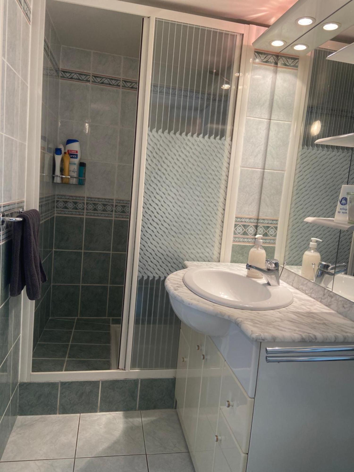 Sweet Home - 55M2 Appartment, Garden, Swimming Pool, Parking トゥールーズ エクステリア 写真